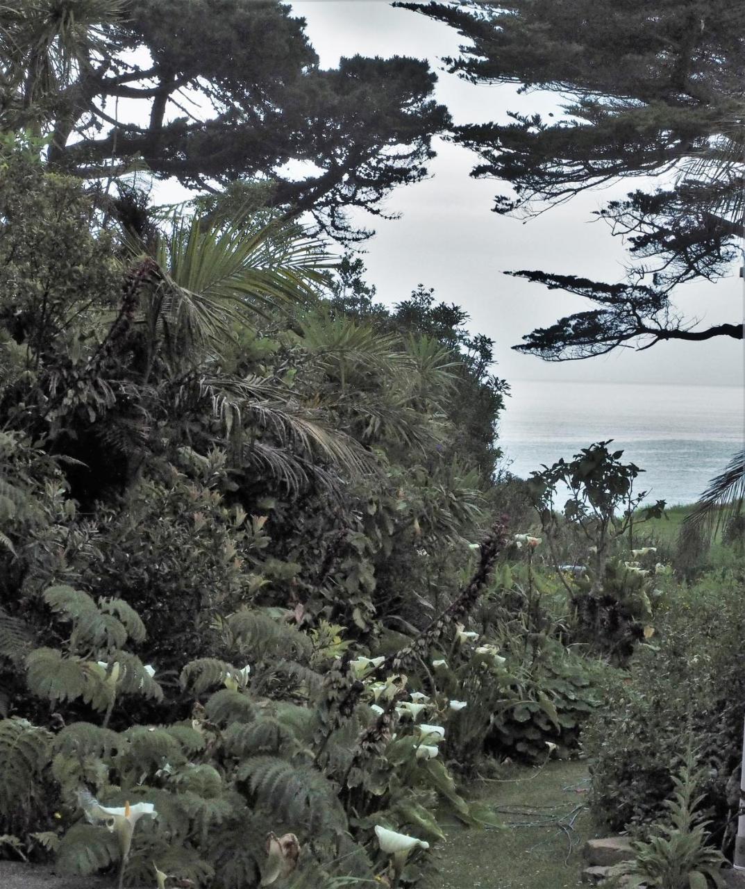 Villa Omau Retreat à Cape Foulwind Extérieur photo